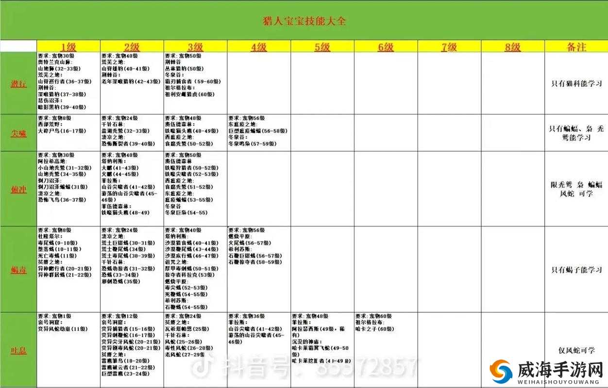 猎人手游新手进阶，解锁快速冲级秘籍