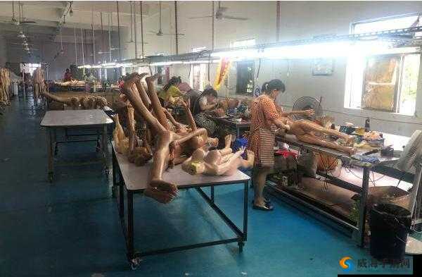 亚洲国产高清无码黄：揭秘成年人产业背后的真相