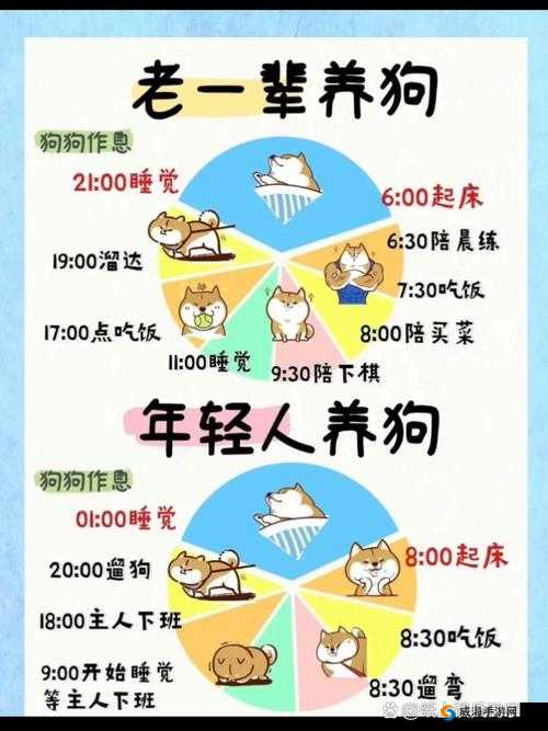 训练一个女生成为狗：时间、方法与伦理的探讨