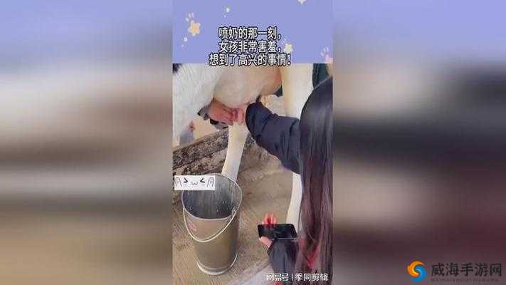 喷奶网站：揭秘女性哺乳期的奥秘