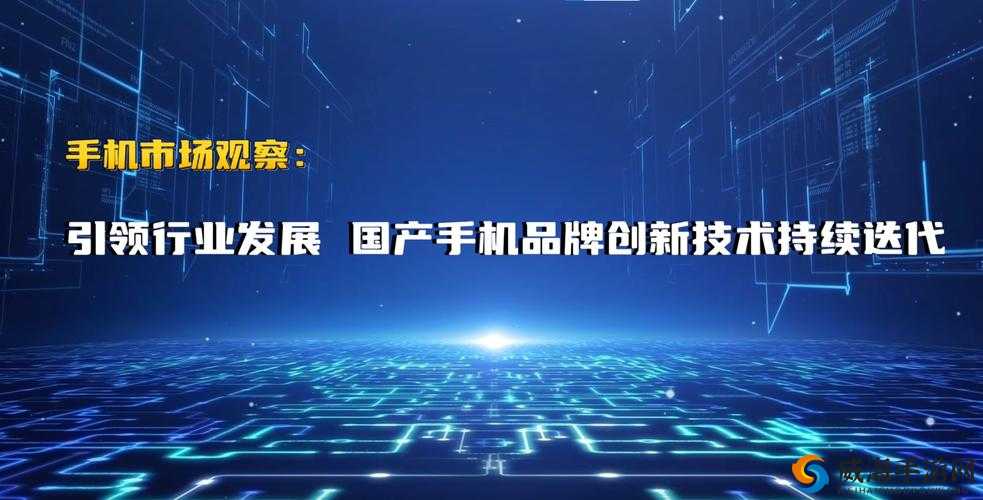 国产一卡 2 卡 3 卡 4 卡公司：引领行业创新发展之路