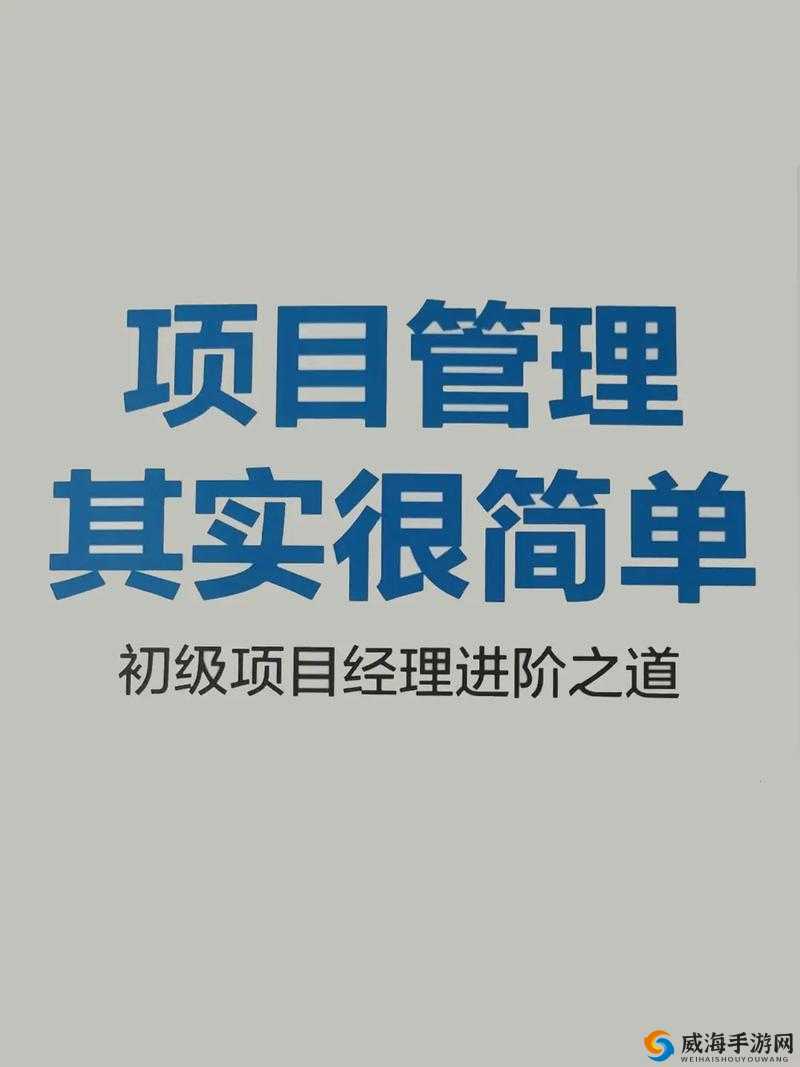 深入浅出 PMP :开启项目管理的成功之门