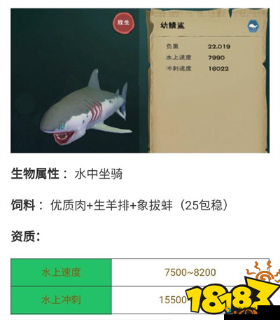 创造与魔法鲨鱼抓法详解及饲料材料一览，资源管理的艺术