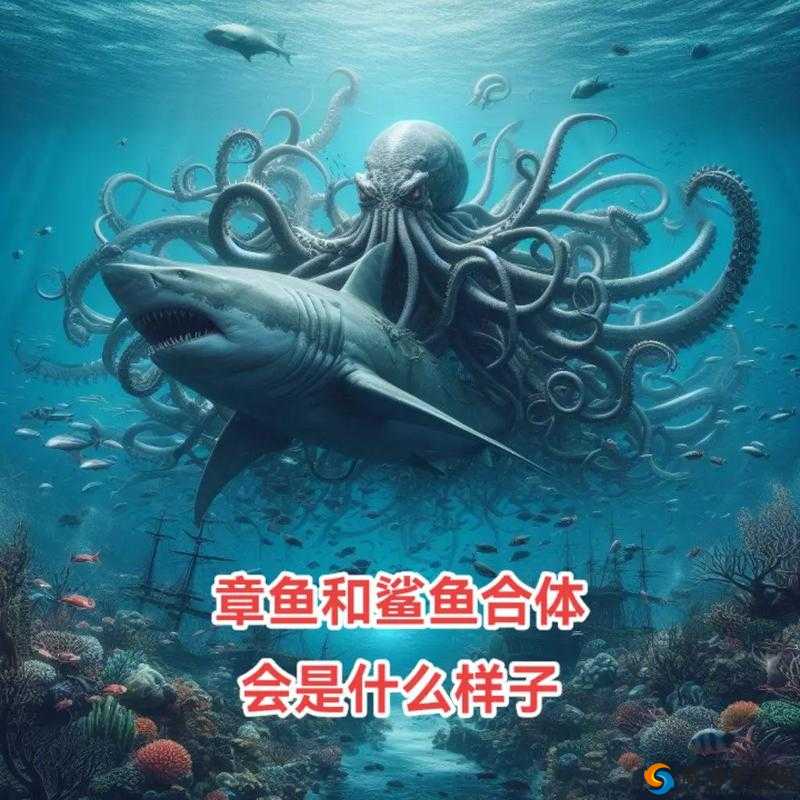 鲨鱼，深海中的霸主与探险者的伙伴