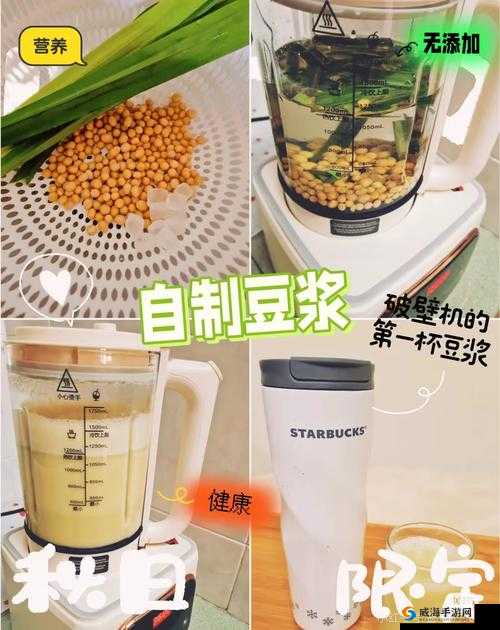 自制豆浆难题解：如何轻松制作美味又健康的自制豆浆
