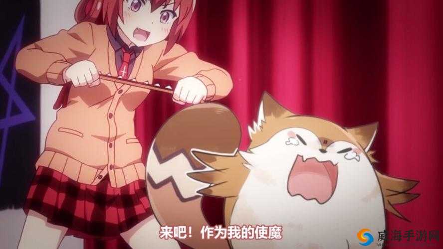风之大陆探秘，蝙蝠使魔与手套魂卡的奇妙邂逅