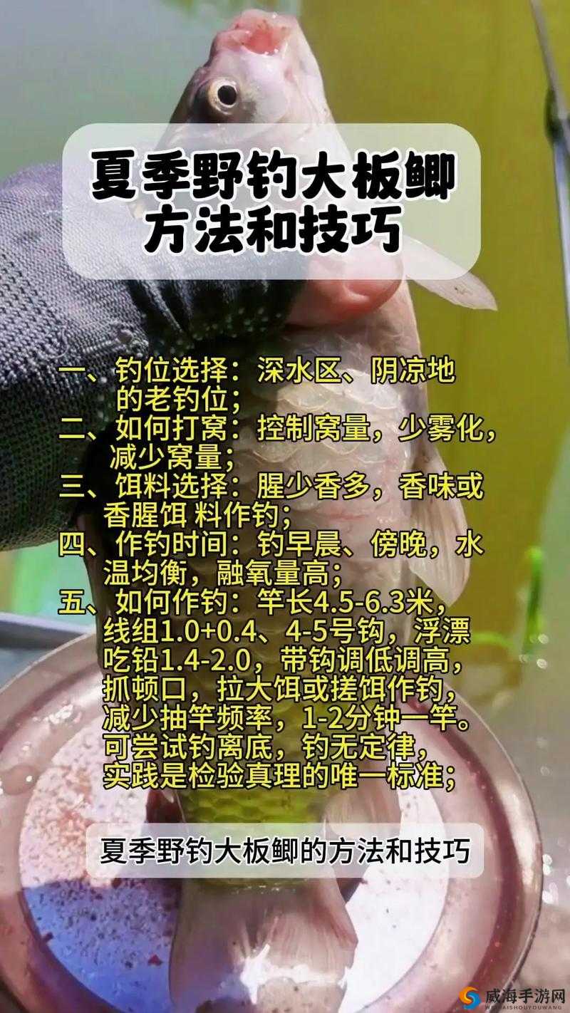 幻想计划怎么钓鱼,钓鱼流程技巧一览