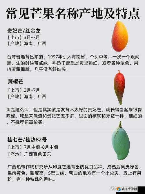 区 3 区 4 区产品乱码芒果：探究其背后的复杂成因及影响