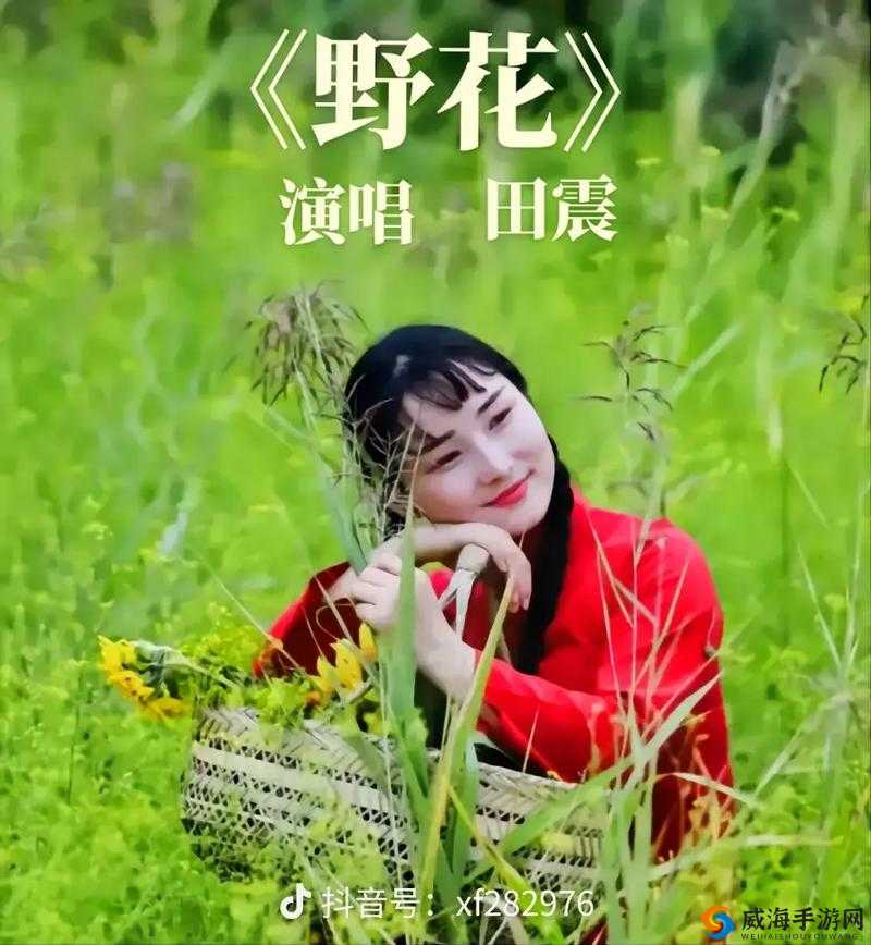 野花直播视频免费高清完整版：呈现精彩内容盛宴