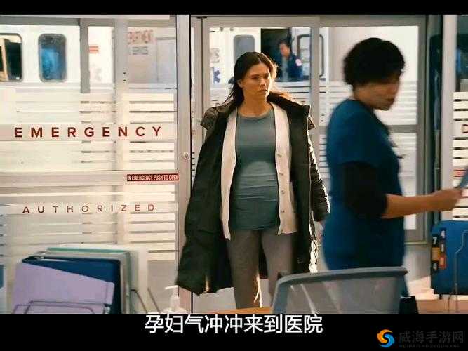 欧美人与禽 2o2o 孕妇的离奇故事