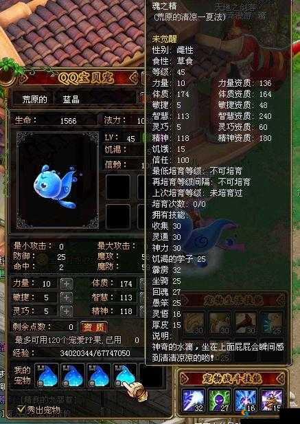 自由幻想刺客之旅，前期宠物小囧的巧妙搭配