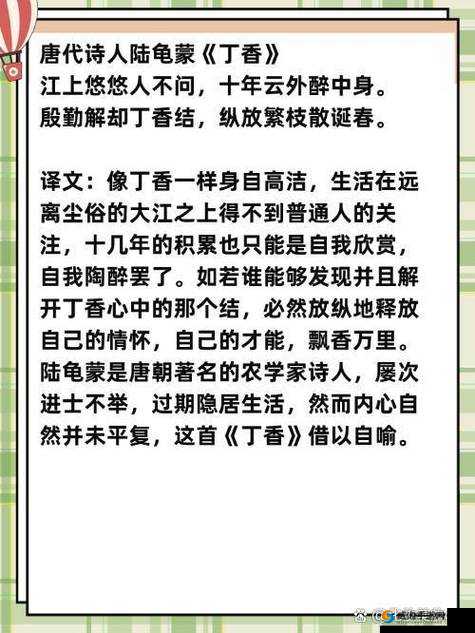 丁香八月婷婷：关于其的详细介绍与深入解读