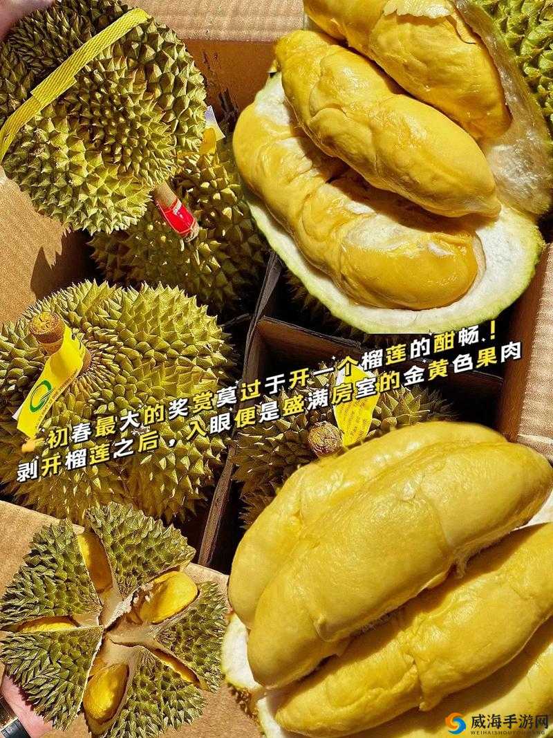 榴莲视频正品进入，畅享优质内容盛宴