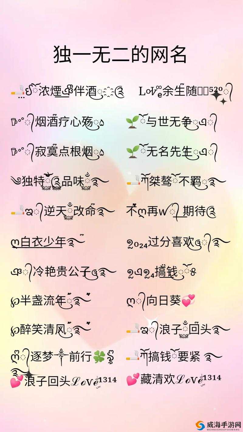 17c 最新网名 2024fun：开启精彩未来的独特标识