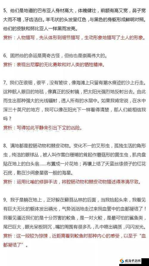 媮拍小说：一段不为人知的隐秘故事悄然展开