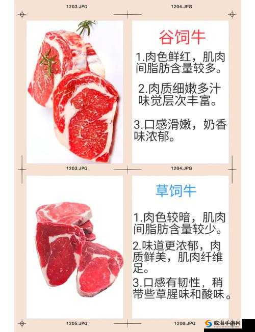 老牛嫩草一二三产品：深入了解其区别