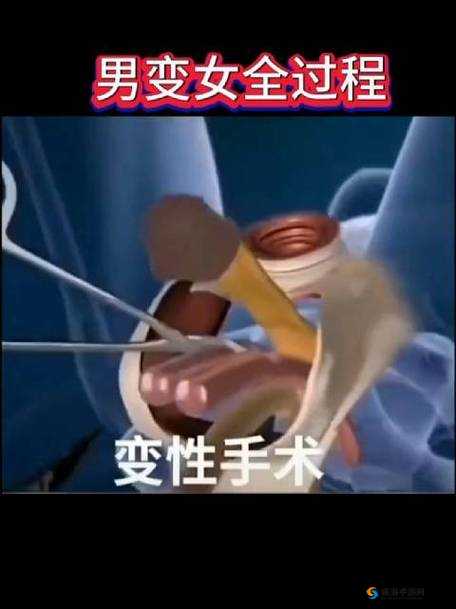 最新女人另类 Zo○Zo 变性人的独特魅力与故事探讨