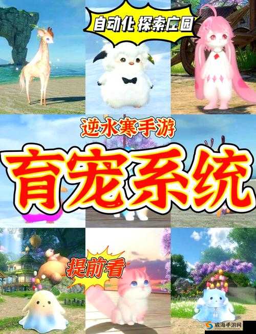 自由幻想手游奇遇任务萌宠大暴走攻略，资源管理的艺术
