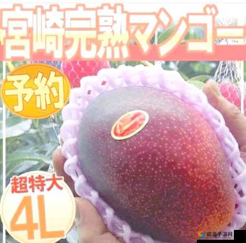 日产精品一线二线三线芒果：探寻其独特魅力与卓越品质