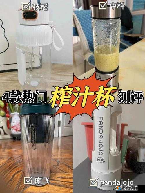 C93T 榨汁机：打造新鲜美味果汁的得力助手