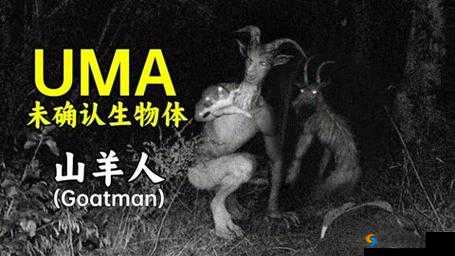 山羊和人谁更紧急?——关于动物保护和人类责任的思考