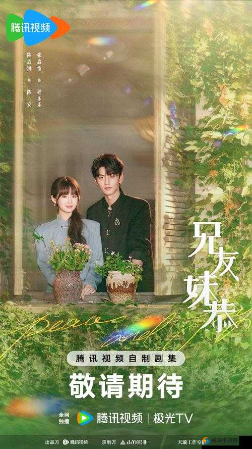 麻花豆传媒剧国产MV兄妹：展现独特情感与故事的精彩演绎