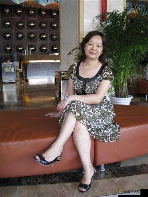 中国老妇另类：展现独特的魅力与故事