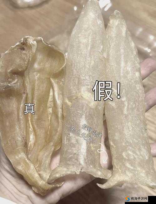美国人与动物胶配方有几种：探寻胶类制品背后的秘密