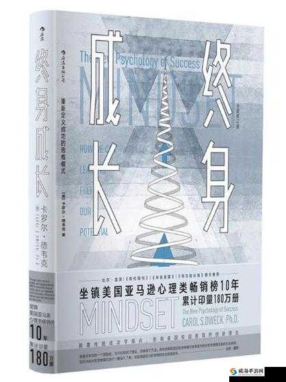 99M 威久国际成长模式：深入探究其发展路径与成功秘诀