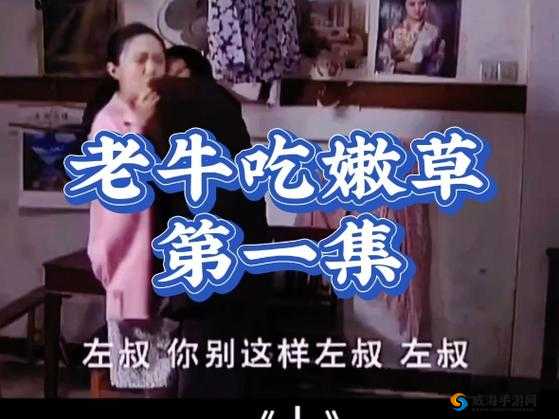 老牛嫩草一二三产品区别又出新作：揭秘新作品的独特之处