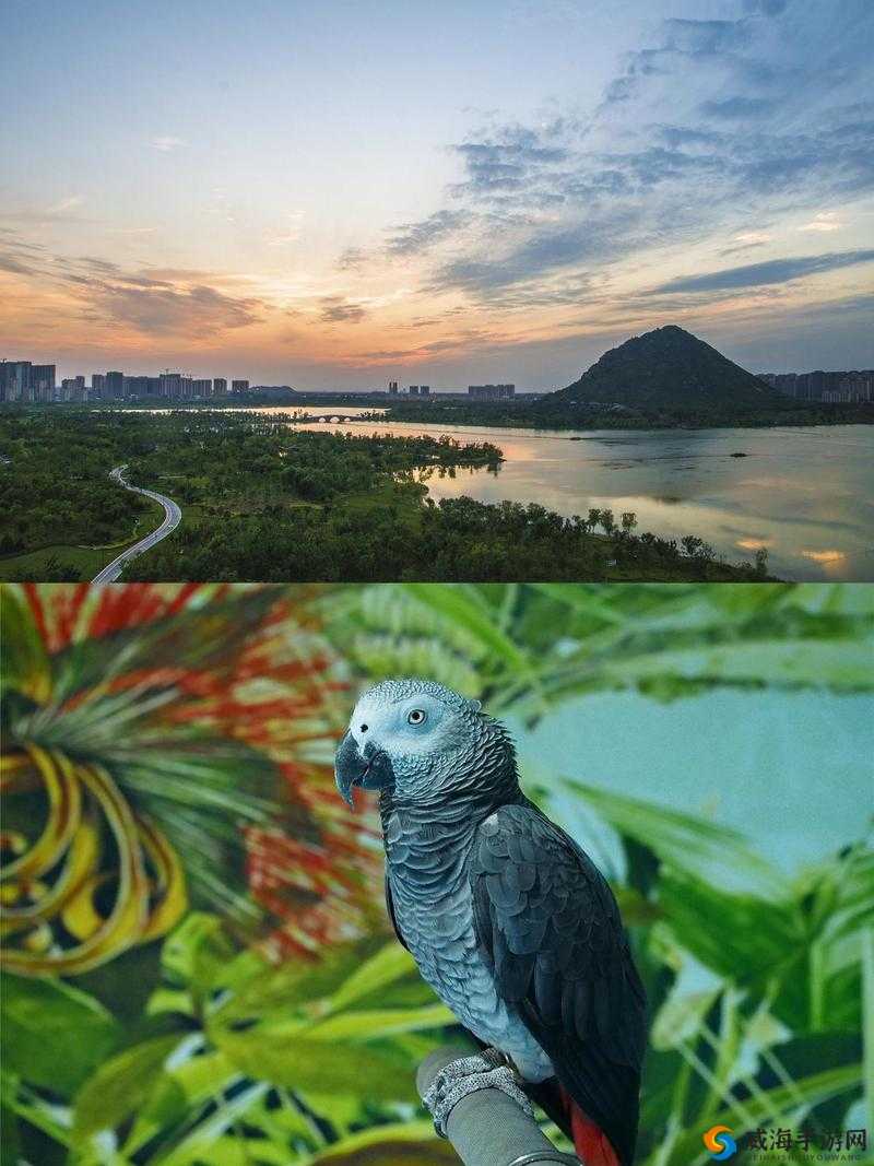 天堂 www 在线资源：探寻未知的奇幻世界