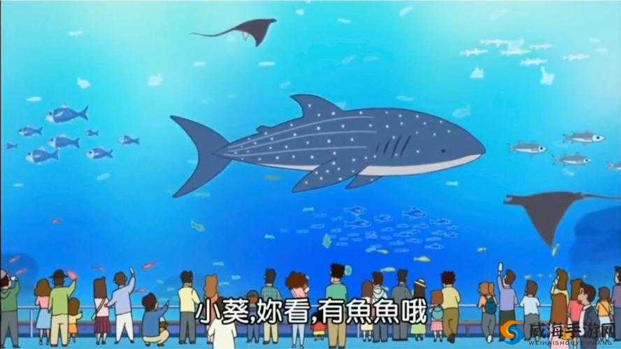 小黄鱼 b 站：带你领略不一样的精彩视频世界