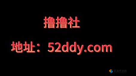 男人的伸到里擼擼社软件：探索私密世界的探索之旅