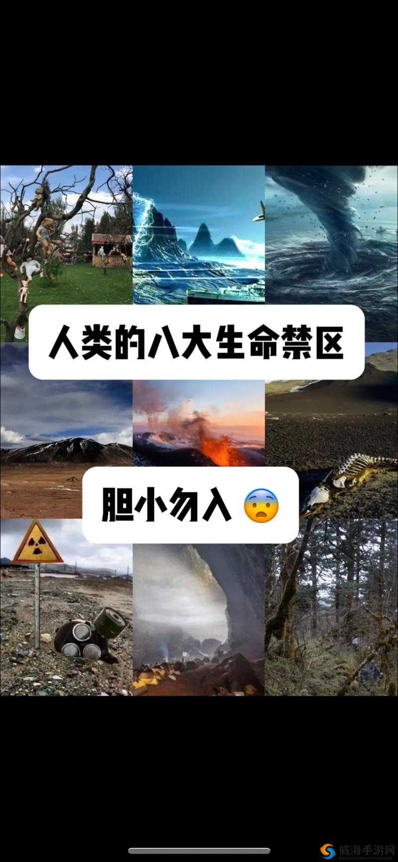 无人一区二区：神秘面纱背后的未知世界