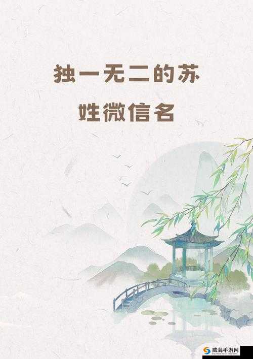 1v3 兄妹姓苏的在成长道路上的故事与情感纠葛