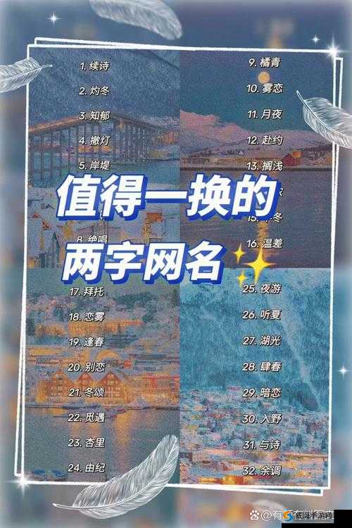 汤姆视频最新地域网名 2021：探寻地域特色与网络文化的融合