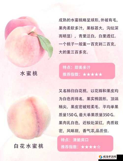 桃子植入的 10000 种黄油：探索美食的无限可能