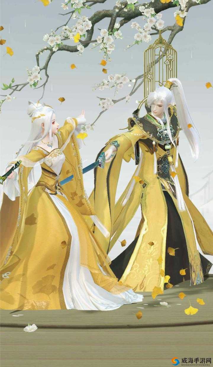 云裳羽衣，叶英货摊、遮阳街心与鲜艳约会技巧的深度探索，以及玉团套的魅力解析