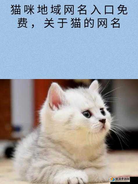新版猫咪地域网名入口下载:提供便捷可靠的下载服务