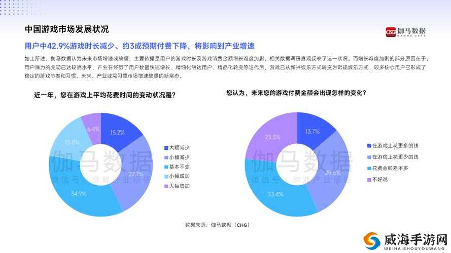 解读 2024 年国产与欧洲游戏市场尺寸对比分析