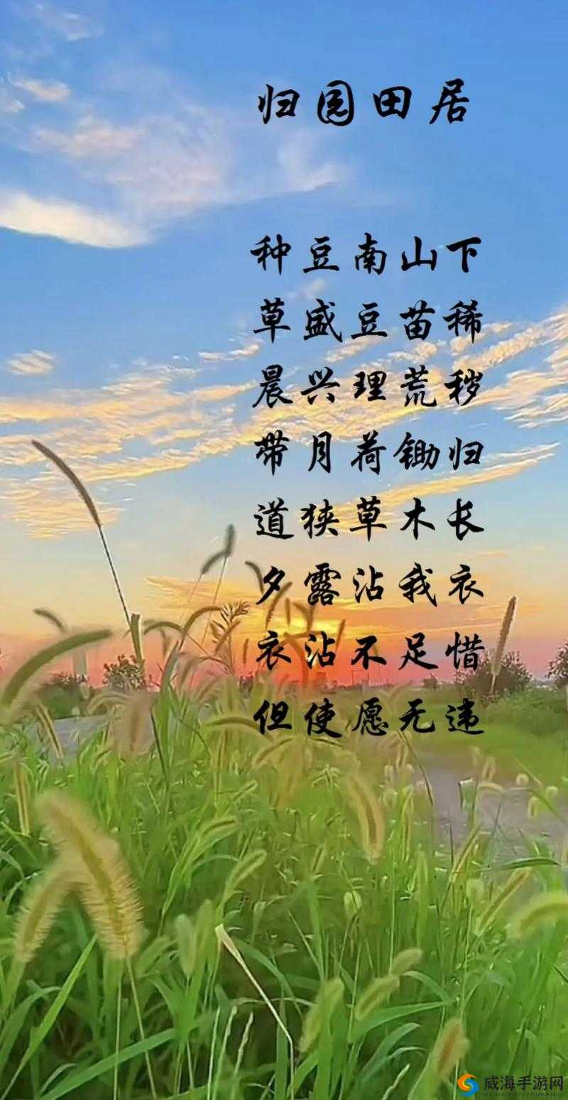 梦寻桃花源免费观看：探寻那片理想中的诗意乐土