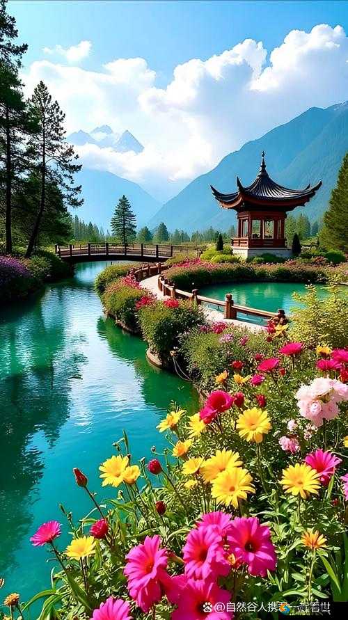 芳草萋萋流水潺潺，美不可言：探寻自然之美