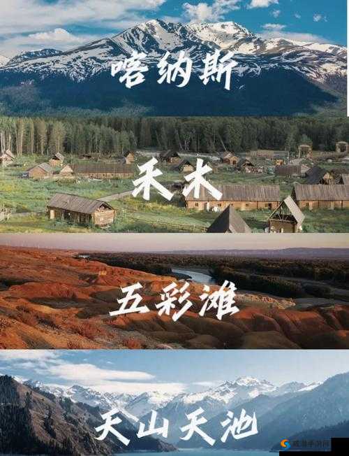 新疆XXXXXL刺激又有挑战：开启未知的冒险之旅