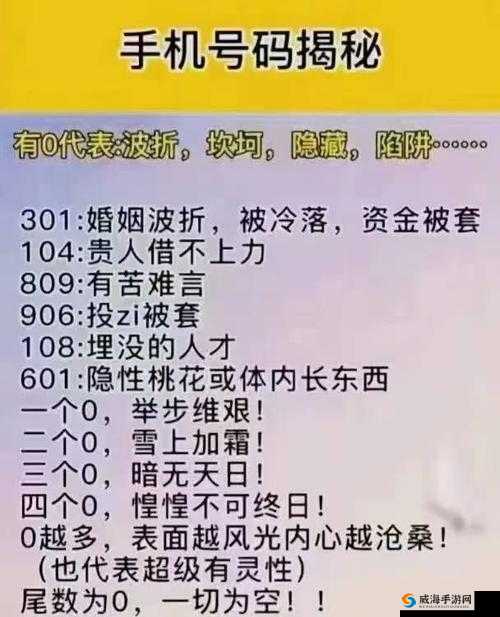 86xxⅹⅹxxxⅹⅹx96 神秘号码背后的故事与探索