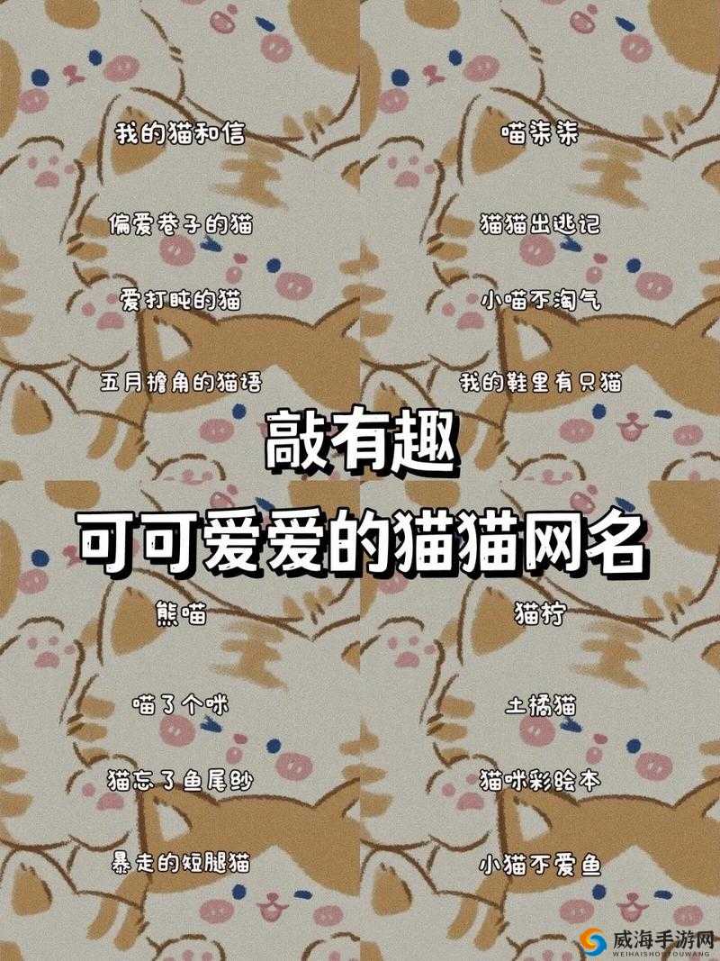 猫咪最新地域网名 3336PT3 ：探寻神秘之地的奇妙之旅