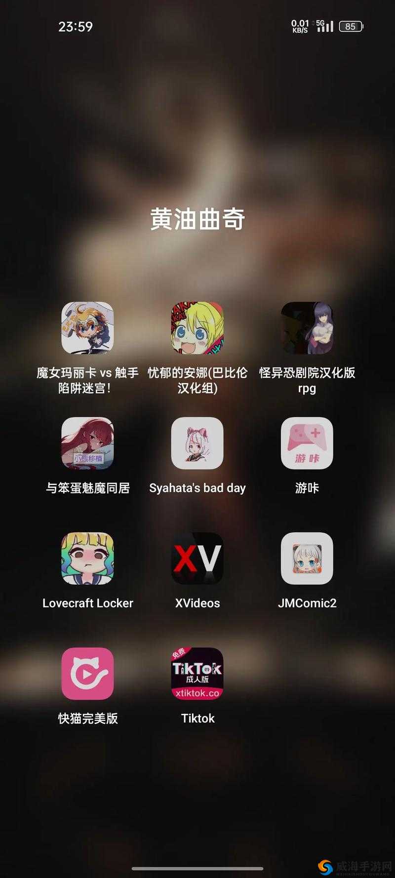 夜里 30 款禁用软件：为何被禁止以及带来的影响