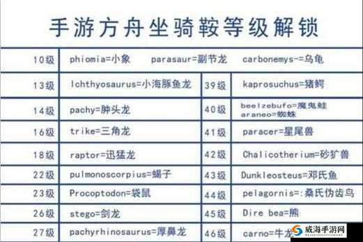 方舟生存进化，坐骑鞍具大全与学习培养攻略