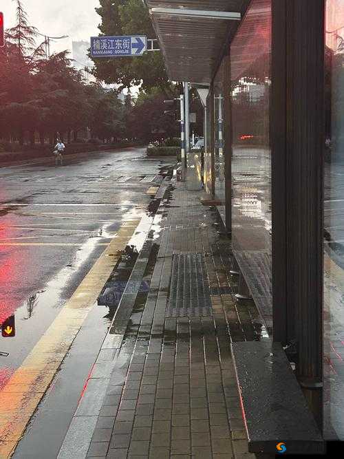 下雨天公交车站：乘客的避风港与等待之地