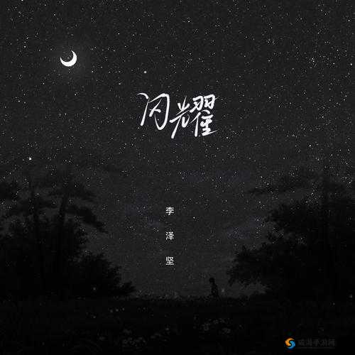 闪耀之旅，探索时尚与个性的无限可能