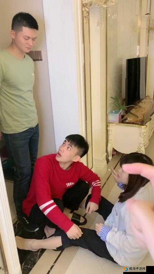 最终还是从了女婿岳风：无奈妥协背后的故事
